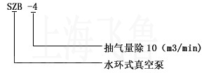 SZB型水環(huán)式真空泵型號說明